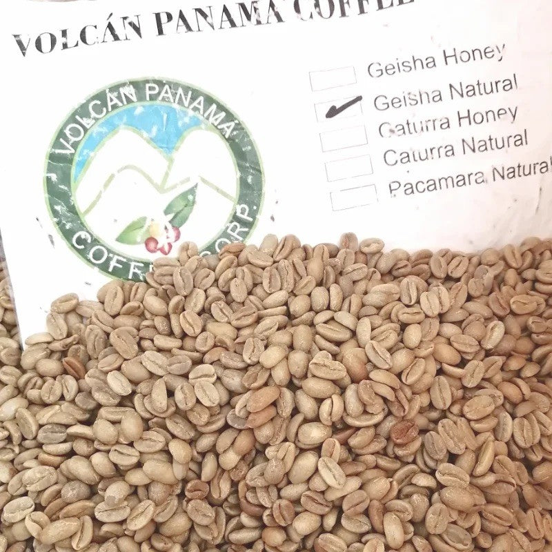 Panama Kalithea Geisha Honey