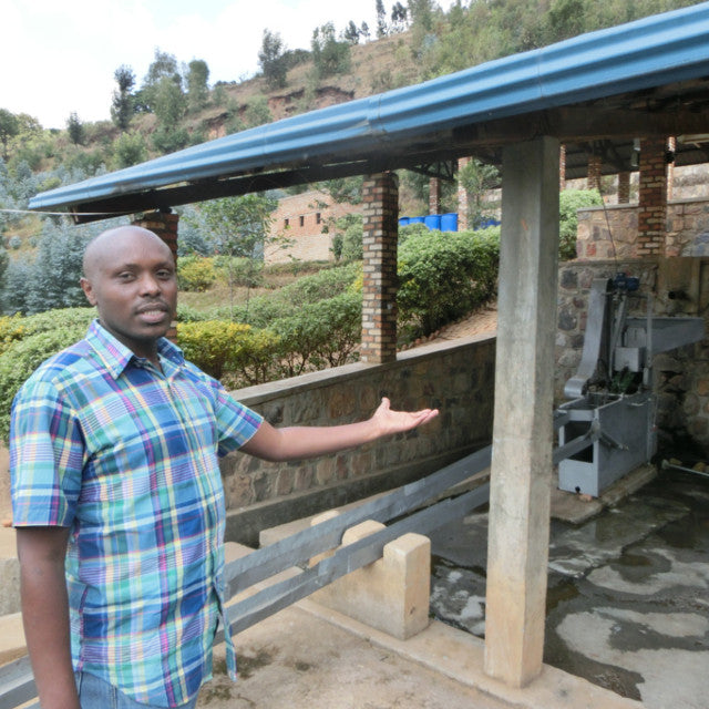 Rwanda Washed