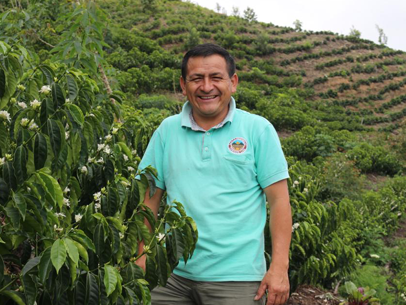 Peru geisha blend