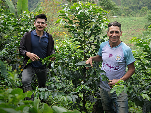 Peru geisha blend