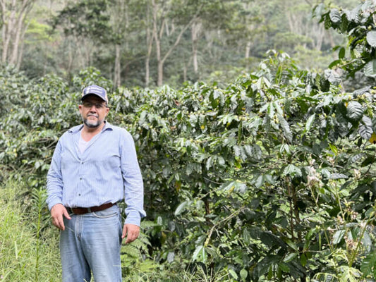 Nicaragua　 El Porvenir　 Anaerobic Pulped Natural