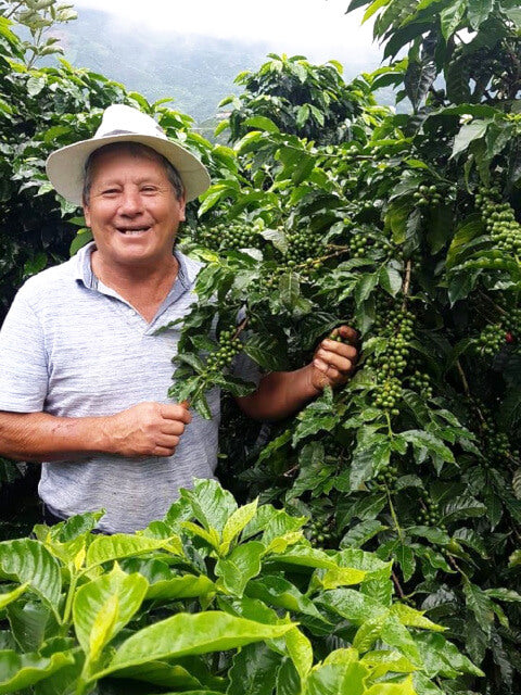 Costa Rica Don・Mayo Red Honey