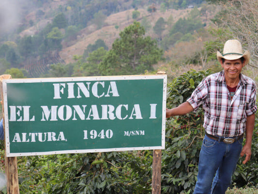 Honduras EL Monarca Washed