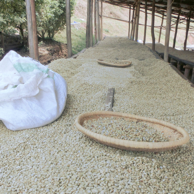 Rwanda   Washed