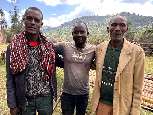 Ethiopia Bona Halo Beriti Natural