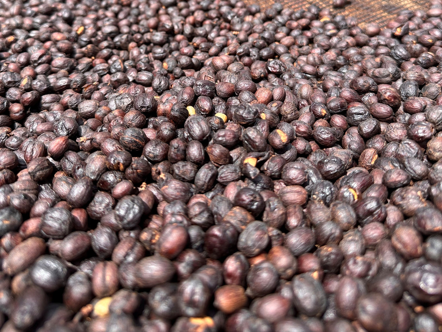 Ethiopia Bona Halo Beriti Natural
