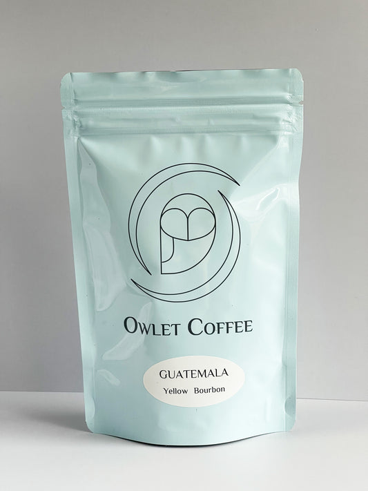 Owlet coffee　OWLETCOFFEE　アウレットコーヒー　グァテマラ　グアテマラ　イエローブルボン　ドラド　SHB　店主のほれ込んだ珈琲　華やか　鮮やか　クリーン　スペシャルティ　スペシャルティコーヒー